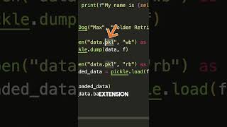 Python Functions The Pickle Function [upl. by Loralee]