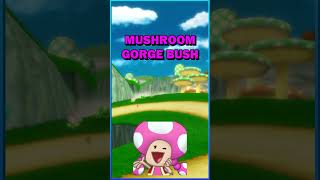 EXPERT Strategies for the Mushroom Cup MarioKartWii [upl. by Dlorrej]