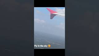 Fly in the air music song aviation hastag shortvideo singer airflight [upl. by Tortosa]