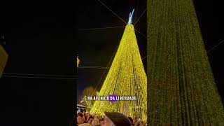 Luzes de Natal em Barcelos [upl. by Ahsyt261]