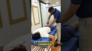 Adjustment for coccyx pain  tail bone chiropractor spine chiropractic coccyx [upl. by Aluino]