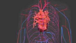 CIRCULATION  ENHANCED BLOOD  VARICOSE TREATMENT  MORPHIC FIELD [upl. by Fidole]