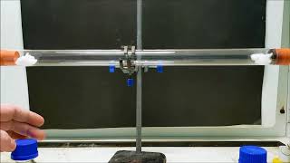 Ammonia and hydrogen chloride diffusion experiment [upl. by Alvarez]