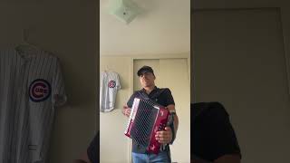 Te Amo  Edgardo Nuñez cover en acordeon [upl. by Ecitnirp]