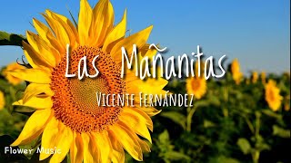 Las Mañanitas  Vicente Fernández Letra [upl. by Eirdua63]