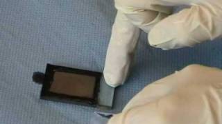 how to make a dye sensitized solar cell HTL Braunau part2 [upl. by Enyamrahs]