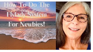 How To Do The Flylady Cleaning System For Newbies Declutter Your Life flyladykat [upl. by Eimia502]