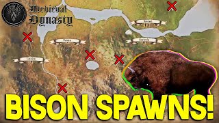 Wisent Bison Spawn Location Guide 10  Medieval Dynasty [upl. by Sidoma]