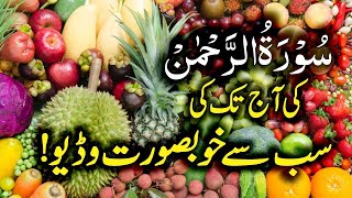 Surah Rahman Beautiful Recitation  Surah AR Rehman Tilawat  سورۃ رحمن  Trimedia Ep1813 [upl. by Marlette125]