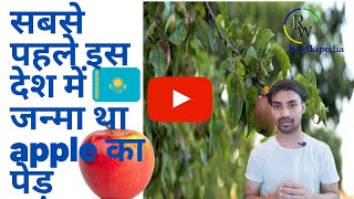 सबसे पहले इस देश में जन्मा था APPLE का पेड़  Apple  Fruits Kazakhstan Tree [upl. by Min]