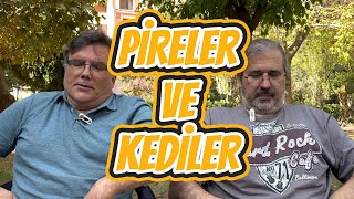 Pireler ve Kediler kedi pire pets pirelikedi hastakedi evkedisi preveze [upl. by Rothberg]