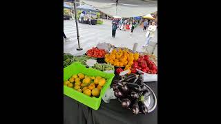 Sydney farmer market [upl. by Anelet739]