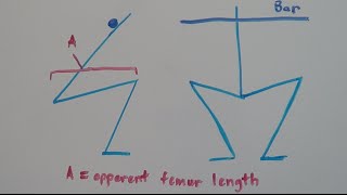 How To Squat  Stance Width Depth and Femur Length [upl. by Eemyaj]