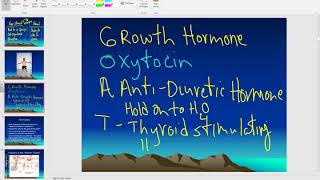 Overview of pituitary hormones [upl. by Doty]