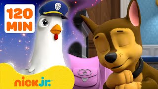 PAW Patrol Pups Have Weird Dreams 2 w Chase amp Chickaletta  2 Hours  Nick Jr [upl. by Kciredec]