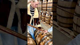 whiskey thieving 101 whiskeybarrel bourbon bourbonbarrel whiskeythief barrelproof thief [upl. by Magdaia523]