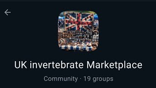 UK Invertebrate Marketplace Is Now Open [upl. by Alekehs938]