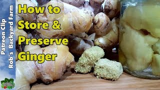 How to store ginger fresh for longer at home  Store Ginger in Fridge without any preservatives [upl. by Euqinomad]