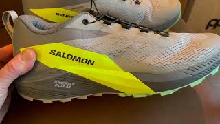 Why I Buy Salomon Trail Running Shoes [upl. by Arehahs]