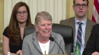 Congresswoman Brownley Speaks at Joint Hearing of House and Senate Veterans Affairs Committees [upl. by Ha721]