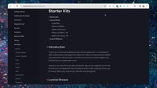 Boost Your Laravel Development Workflow  Essential Starter Kit Packages [upl. by Eldreda]