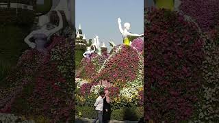 Dubai miracle garden dubai shortvideo youtubeshorts [upl. by Jolynn]