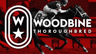 Woodbine Tbred May 4 2024 Race 1  Woodbine Horse Race Replay [upl. by Litt]