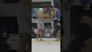 How To Take Down A Wrestler 101 FABRICIO WERDUM Style 😂🐴 [upl. by Narik]