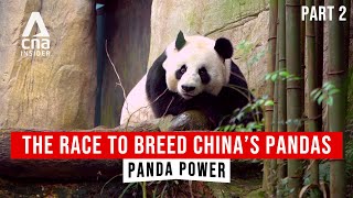 The Power Of Pandas In ChinaSoutheast Asia Relations  Panda Power  Part 22  CNA Documentary [upl. by Onateyac]