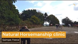 Natural Horsemanship clinic in Quimper France [upl. by Zil]