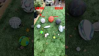 Spin the Bottle Basketball Challenge Who Can Make 3 Hoops First 😂😱 [upl. by Korten491]