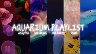 aquarium playlist  comp with all of my sea creatures playlists [upl. by Atul]