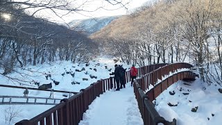 Hiking the Hallasan in Winter Eorimok Trail [upl. by Leirrad671]