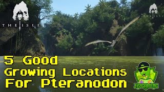 THE ISLES PTERANODON OWNS THESE SKIES  Adventuring around the new map  The Isle Gameplay [upl. by Esmerelda]