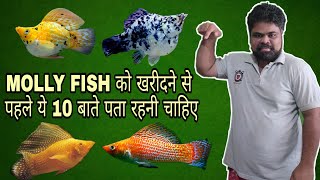 ये 10 बाते Molly Fish को खरीदने से पहले आपको पता रहनी चाहिए [upl. by Esylle31]