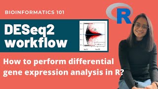 DESeq2 workflow tutorial  Differential Gene Expression Analysis  Bioinformatics 101 [upl. by Cooper]