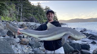 Shark fishing Australia Whitsundays Hamilton Island 2021 [upl. by Jillene]