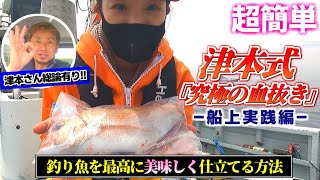 【魚の締め方】津本式･究極の血抜きを船上で実践！釣り魚を最高に美味しく仕立てる方法 本当に美味しいのか [upl. by Assylem930]