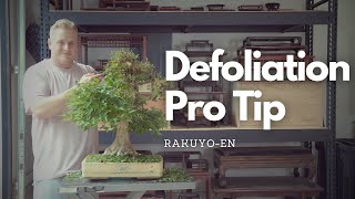 Defoliation Pro Tip  How to Quickly Defoliate Your Bonsai [upl. by Favian]