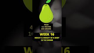 16 weeks pregnant  week by week pregnancy  Baby growth in pregnancy [upl. by Aikemat697]