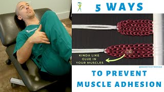 5 SURE FIRE WAYS TO PREVENT ADHESION THE GLUE IN YOUR MUSCLES THAT CAUSES YOUR PAIN [upl. by Frederico740]