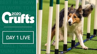 Day 1 Live  Crufts 2020 [upl. by Lemmuela]