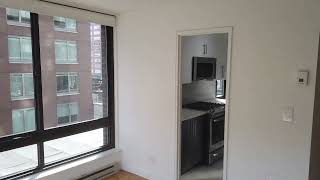 New York City Apartments One Bedroom [upl. by Aleekahs]