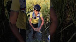 কি বড় লালু টিয়া মাছshort trending funny viralvideo india [upl. by Noe]