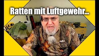 Luftgewehr Ratten im eigenen Garten erlegen [upl. by Amador19]