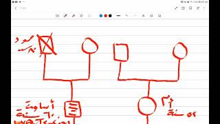 practical Genogram💪💪 [upl. by Clothilde62]