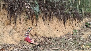 Single mother Build a duck coop Buy ducks and cut bamboo in the forest  Duong Mi [upl. by Oicirbaf]