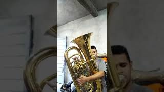 tuba besson compensada sib 31 [upl. by Cleave86]