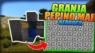 COMO HACER una GRANJA de PEPINO de MAR en MINECRAFT BEDROCK [upl. by Greenleaf]