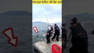 বরশিতে একি উঠে আসলো😨shorts youtubeshorts facts fishing [upl. by Asyen248]